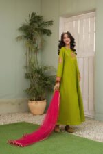 Dhani Green Lawn Frock Suit