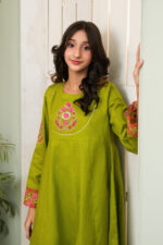 Dhani Green Lawn Frock Suit - Image 6