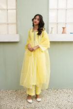 Sun-Kissed Yellow Organza 3-Piece Suit