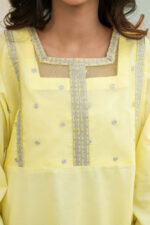 Sun-Kissed Yellow Organza 3-Piece Suit - Image 4