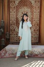 Soft Blue Embellished Silk Suit - Image 5