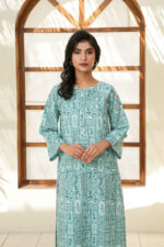 Printed Sea Green Lawn Suit - Image 4